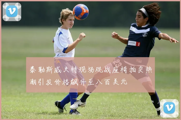 泰勒斯威夫特现场观战座椅拍卖热潮引发价格飙升至八百美元