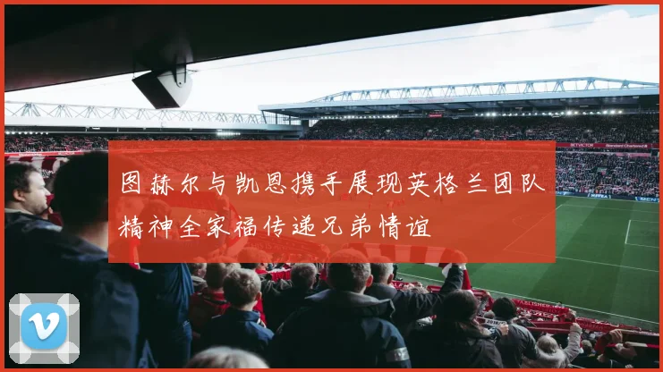 图赫尔与凯恩携手展现英格兰团队精神全家福传递兄弟情谊