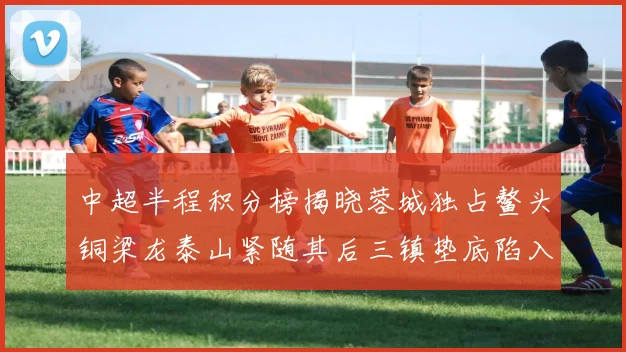 中超半程积分榜揭晓蓉城独占鳌头铜梁龙泰山紧随其后三镇垫底陷入困境